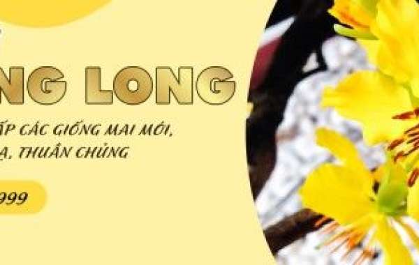 Hội Chợ Mai Cực Sôi Động