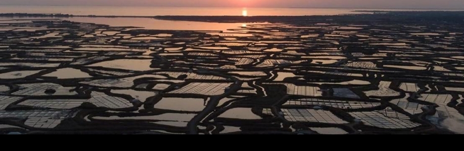 Le Marinier Celtic Salt Cover Image