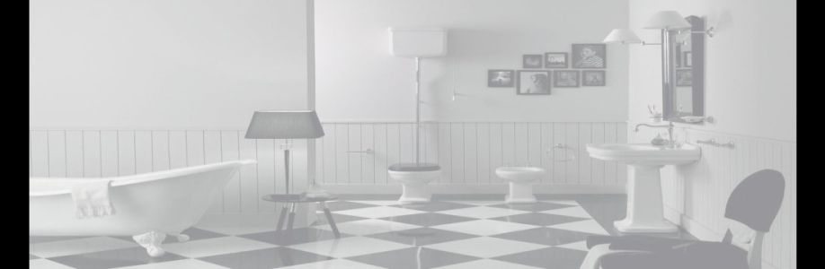 Saniterica Cover Image
