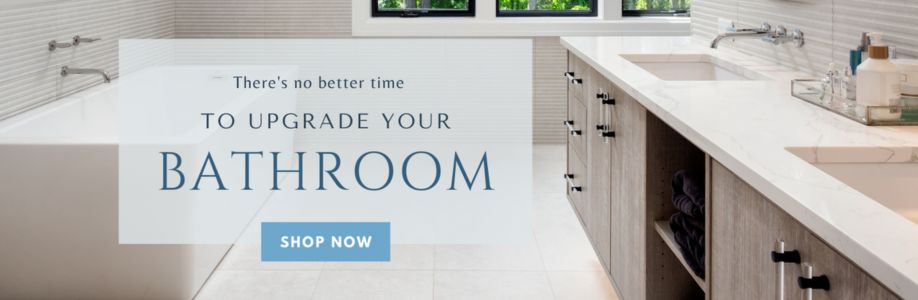 The Bath Vanities Cover Image