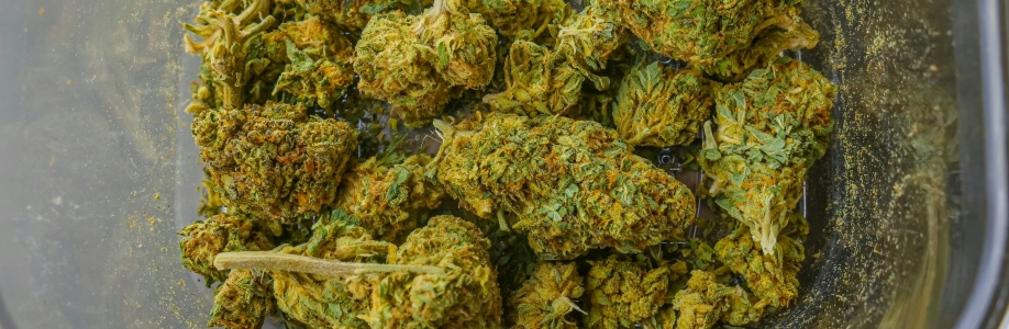 Grand Daddy Weed Dispensary Cover Image