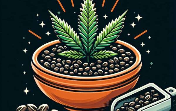 The Perfect Match: Jack Herer Weed and Blunt Wraps