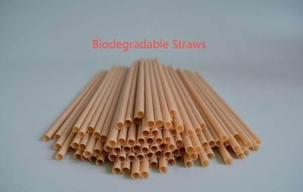 Precision and Sustainability: How Modern Straw Factories Operate