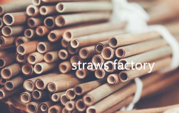 Paper Straws: A Sustainable Solution