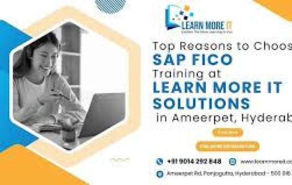 SAP fico institute in Ameerpet