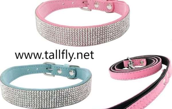 Eco-Friendly Dog Leashes for Sustainable Pet Care