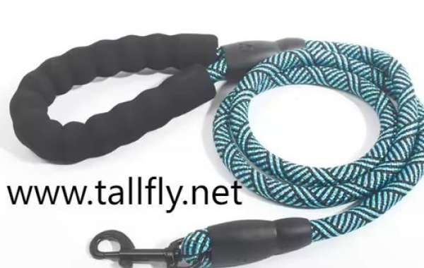 From Sketch to Shelf: Collaborative Design in Modern Leash Manufacturing