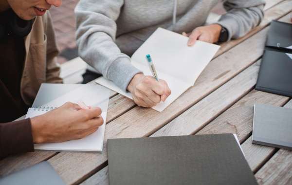 The Art of Essay Writing