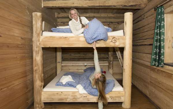 What's The Job Market For Bunk Bed Near Me Professionals?