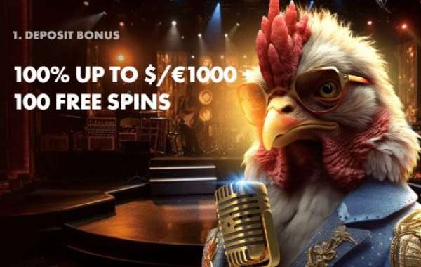 Dare to Win with Roosterbet’s Ultimate Play Zone