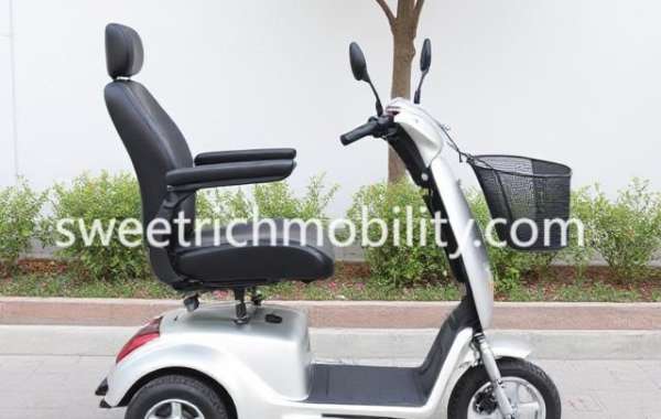 Modular Scooter Designs Supporting Personalized Comfort and Long-Term Use