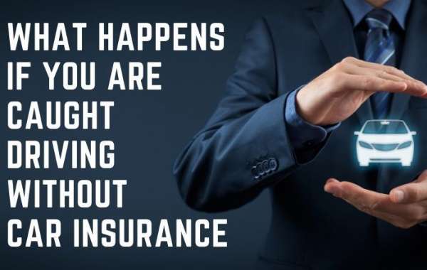 The Accidental Offence: A Driver's Guide to Avoiding the Insurance Traps