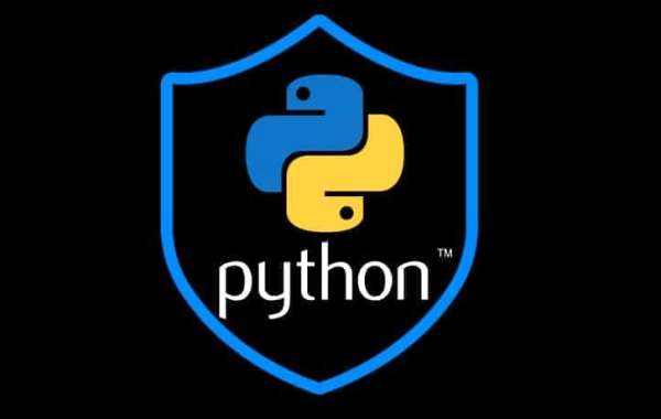Python Course in Pune for IT Professionals
