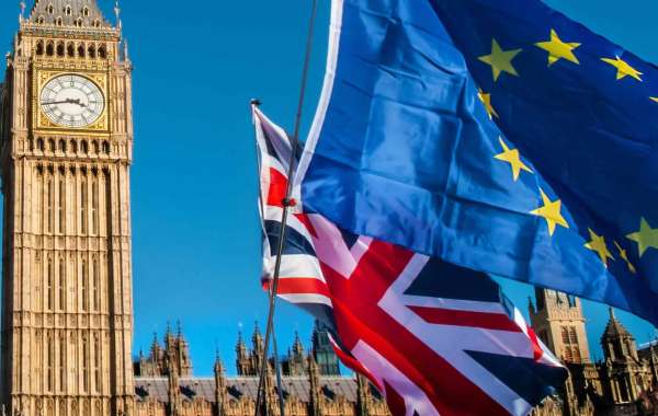 A Day in the Life: What Your Specialist UK Immigration Solicitor Actually Does