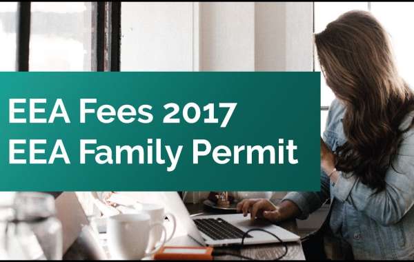 Post-Brexit Pathways: A Diagnostic Guide for Families of EU Nationals in the UK