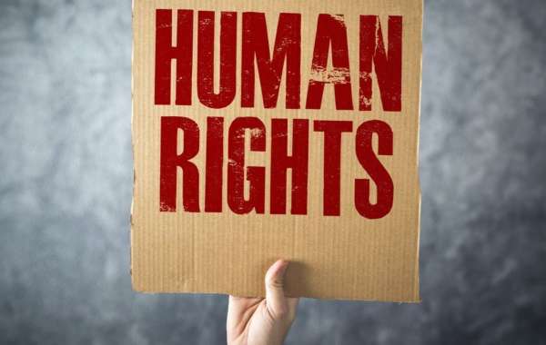 The Safety Net of Last Resort: An Educational Guide to Human Rights Claims