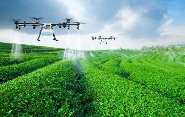 Digital Agriculture Market Share and Competitive Landscape Report