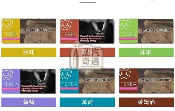 哈版 TEREA 口味怎麼選最不踩雷