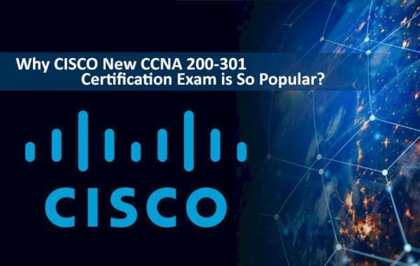 CCNA Classes in Pune That Shape You into a Confident Network Professional