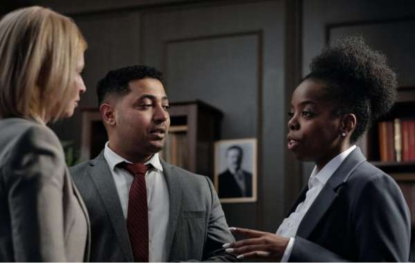 Beyond the Crisis: The Proactive Partnership Model of Modern Business Immigration Law