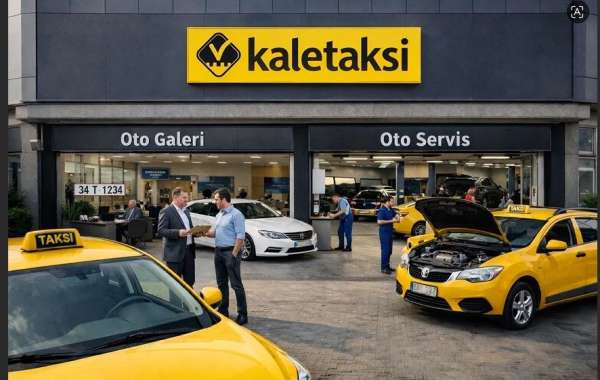 Safeguarding Your Livelihood: The Role of Taxi Licensing Experts in 2026